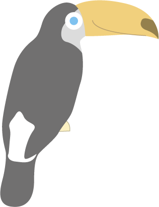 オニオオハシ　トロピカル　鳥