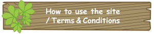 How to use the site, Terms and conditions